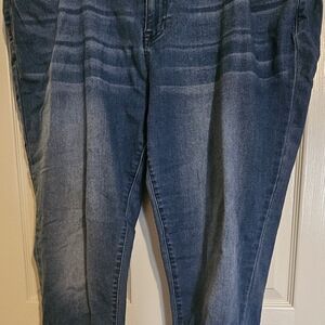 Avenue Blue Straight Leg Jeans for Women